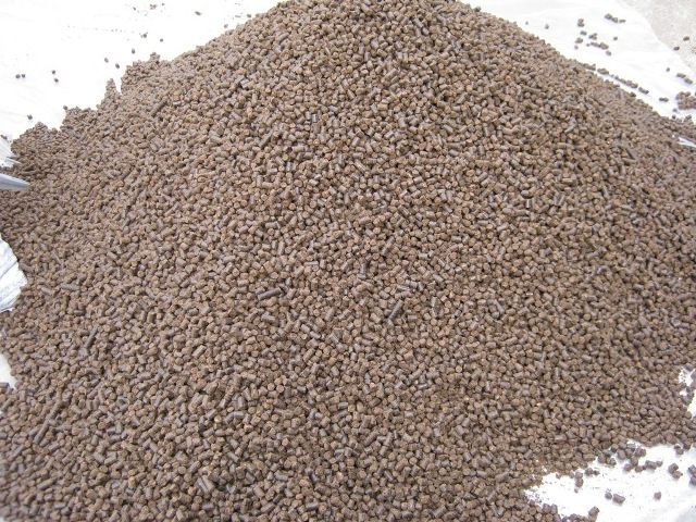 Palm kernel Cake