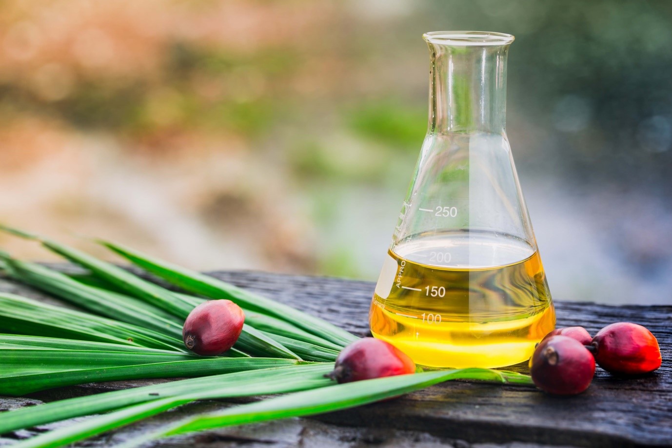 Crude Palm Kernel Oil (CPKO)