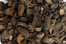 Palm Kernel Shells